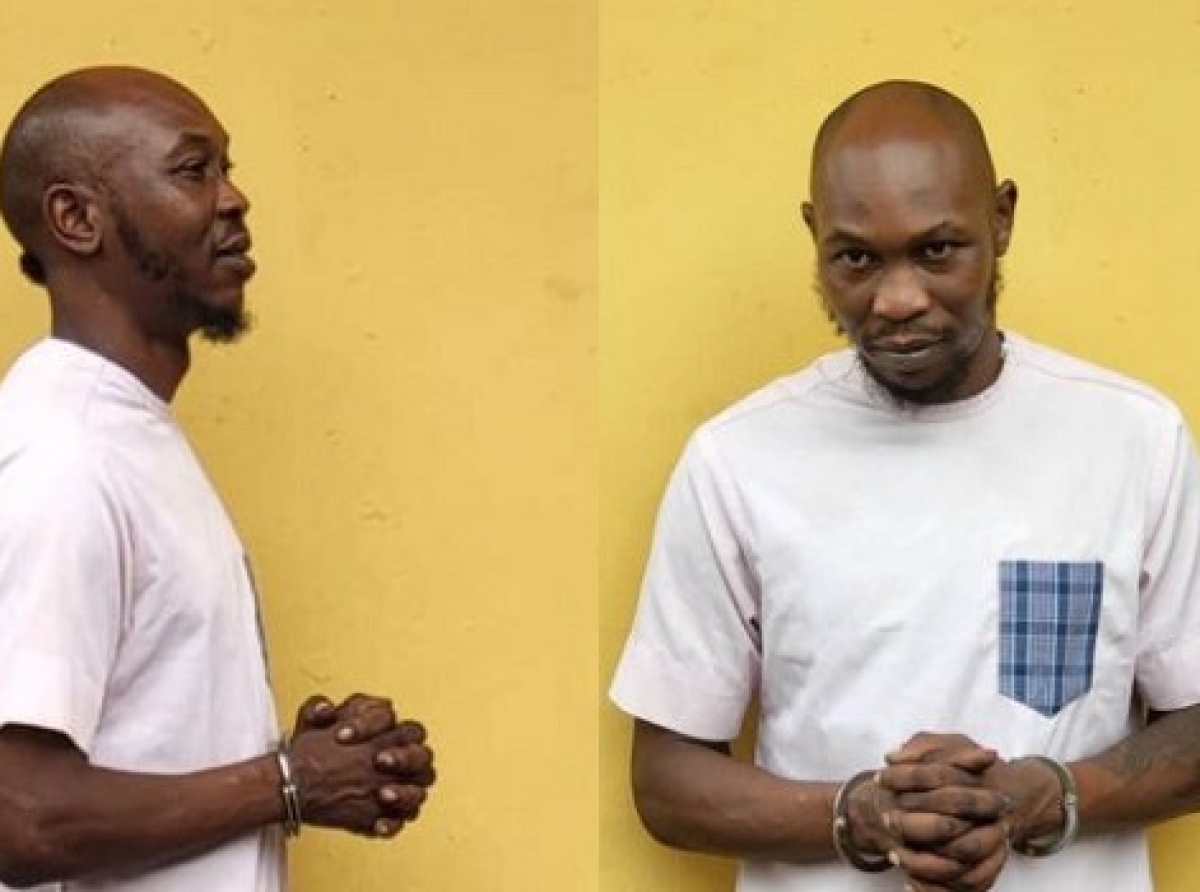 Seun Kuti released on bail