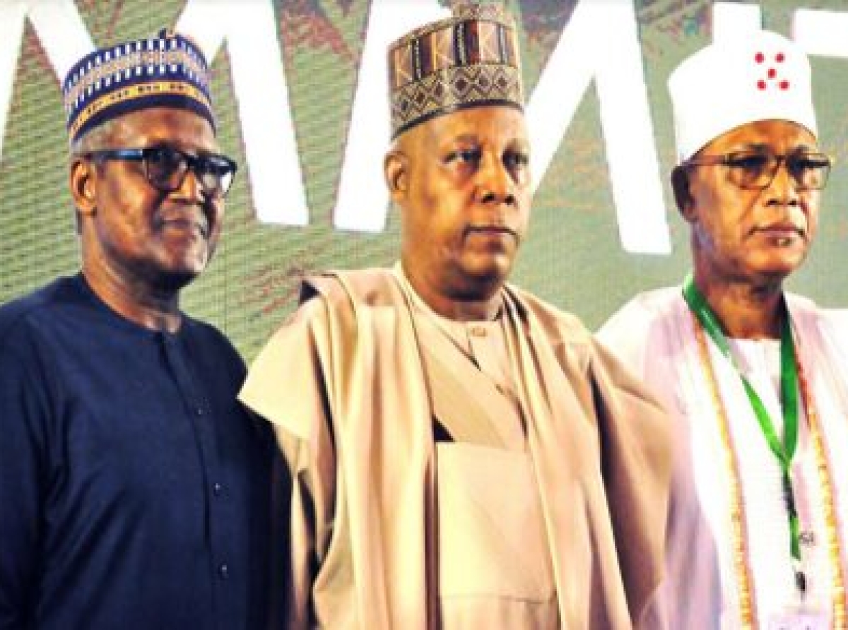 Global Economic Downturn!  Dangote urges government to protect local industries